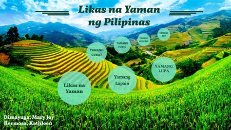 likas na yaman ng pilipinas poster